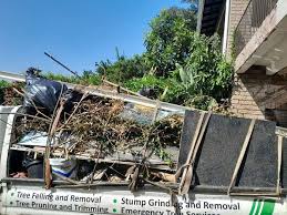 Best Moving and Downsizing Cleanouts  in Isla Vista, CA